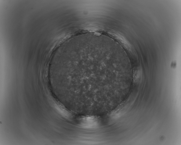 X0000097910365200803141424