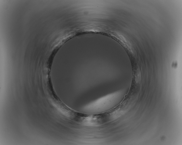 X0000097910366200803141424