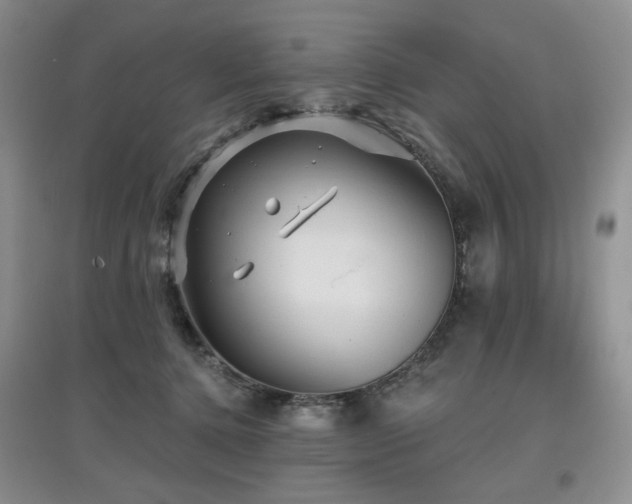 X0000097910368200803141424