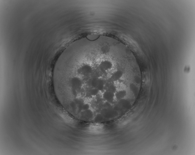 X0000097910369200803141424