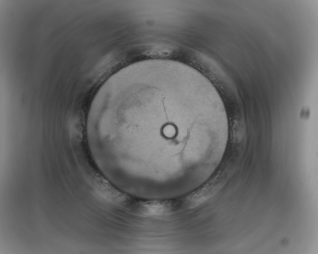 X0000097910370200803141424