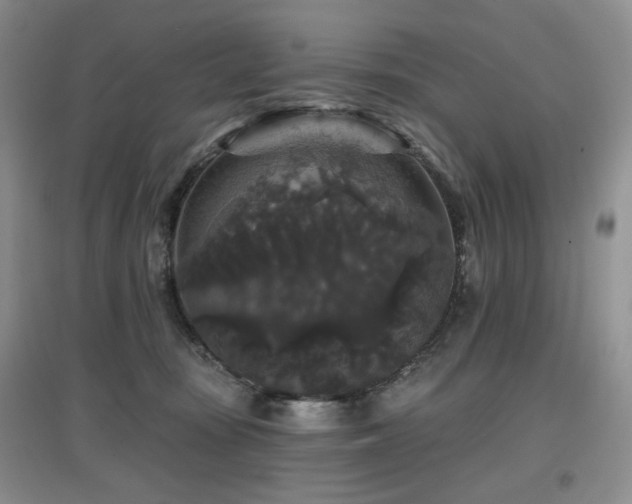 X0000097910371200803141424