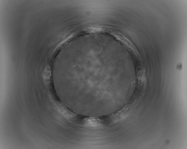 X0000097910372200803141424