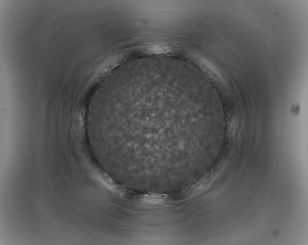 X0000097910373200803141424