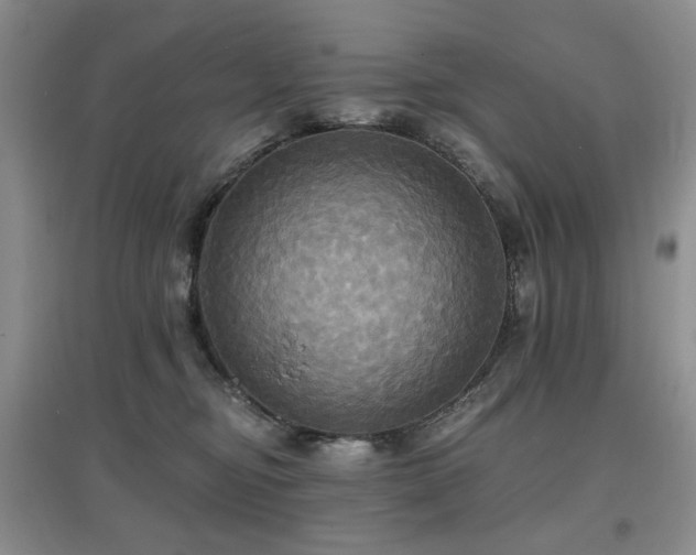 X0000097910374200803141424