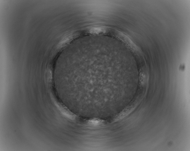 X0000097910375200803141424