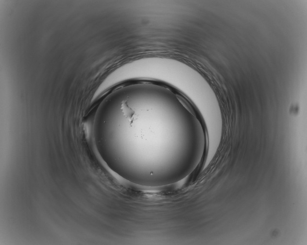 X0000097910376200803141424