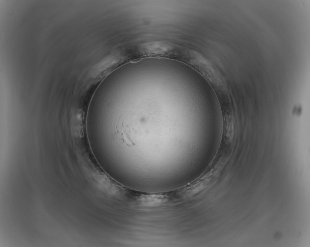 X0000097910378200803141424