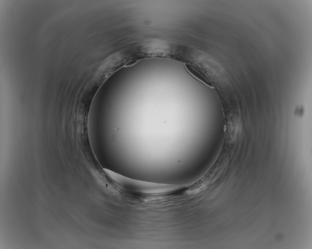 X0000097910379200803141424