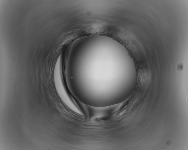 X0000097910380200803141424