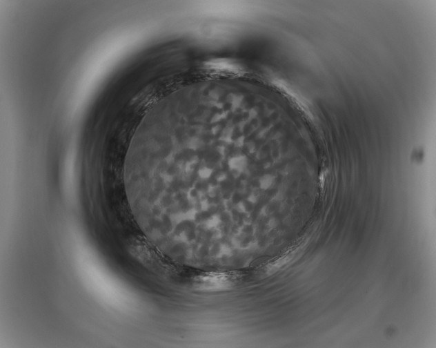 X0000097910381200803141424