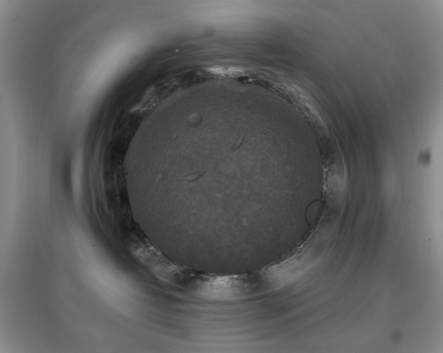 X0000097910382200803141424