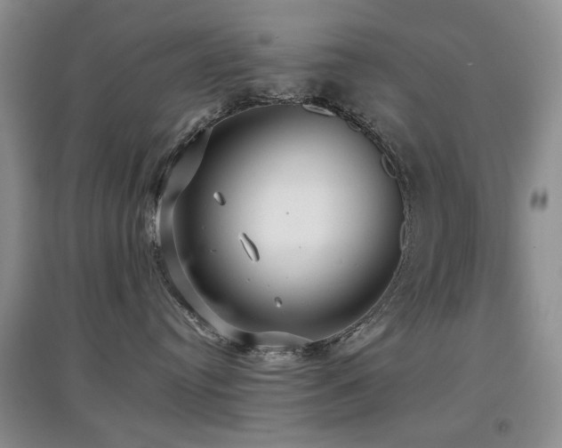 X0000097910384200803141424