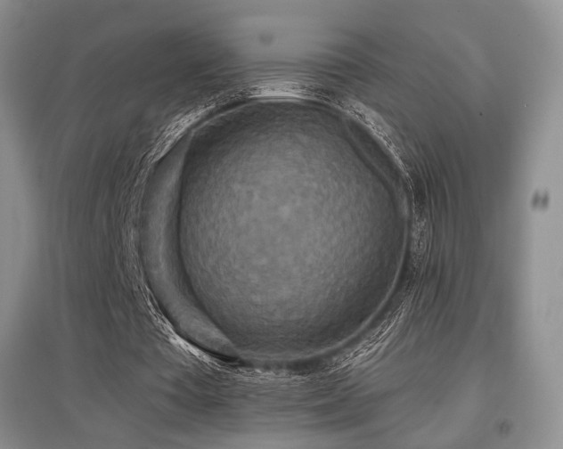 X0000097910385200803141423