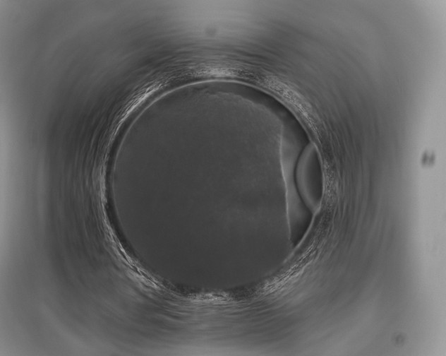 X0000097910386200803141423