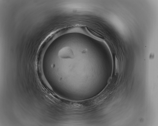 X0000097910387200803141423