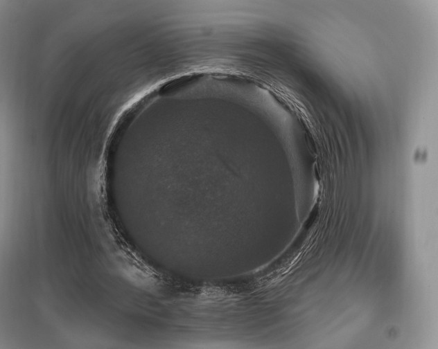 X0000097910388200803141423