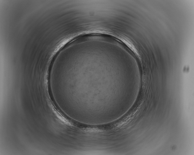 X0000097910389200803141423