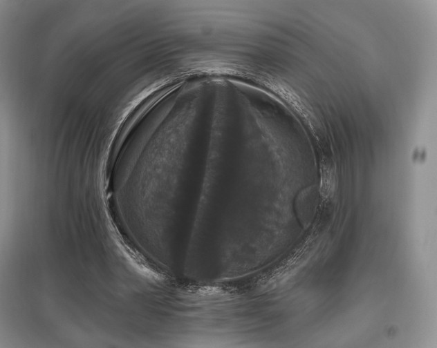 X0000097910390200803141423