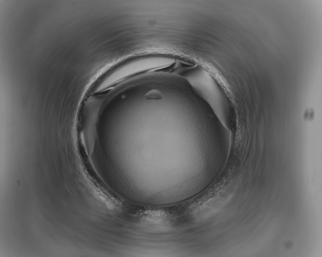 X0000097910391200803141423