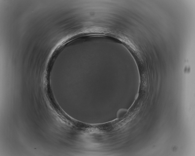 X0000097910392200803141423