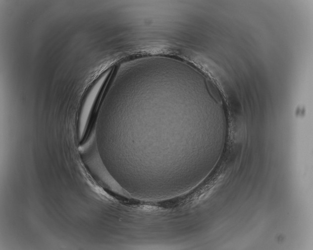 X0000097910393200803141423