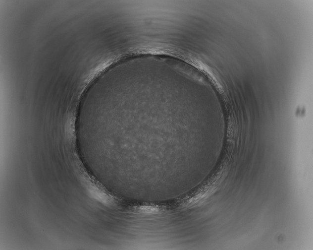 X0000097910394200803141423