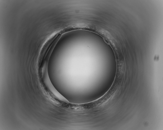 X0000097910395200803141423