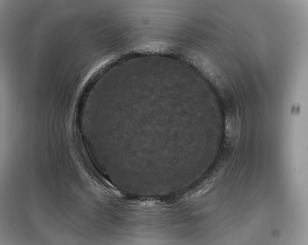 X0000097910396200803141423