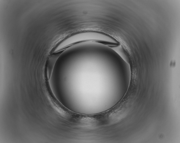 X0000097910397200803141423