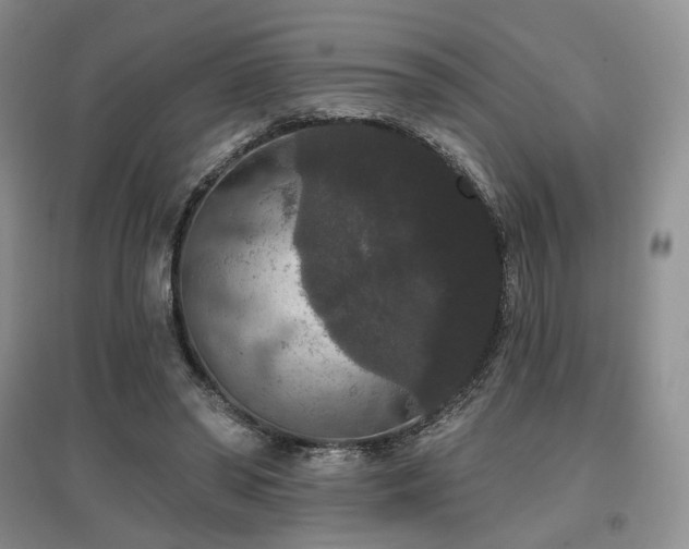 X0000097910398200803141423