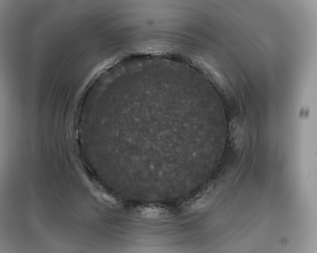 X0000097910400200803141423