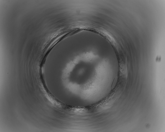 X0000097910401200803141423