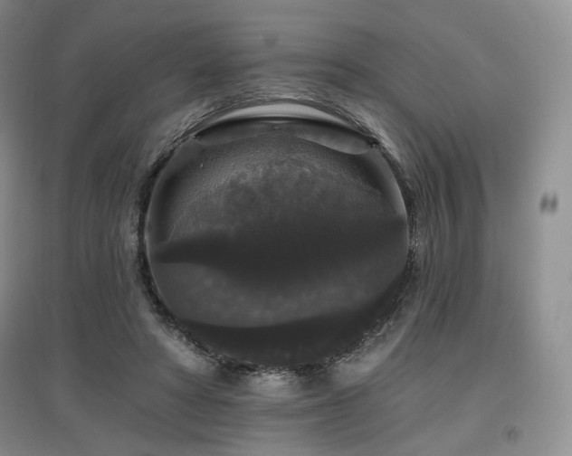 X0000097910402200803141423