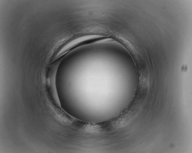 X0000097910403200803141423