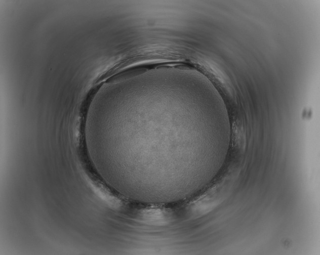 X0000097910404200803141423