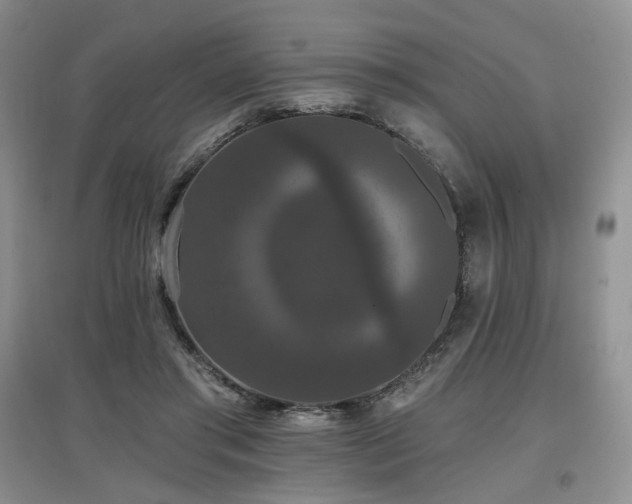 X0000097910405200803141423