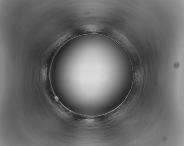 X0000097910406200803141423