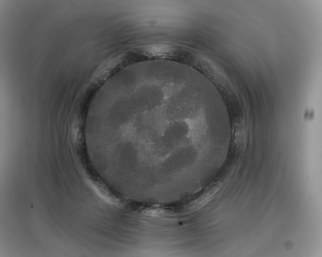 X0000097910408200803141423