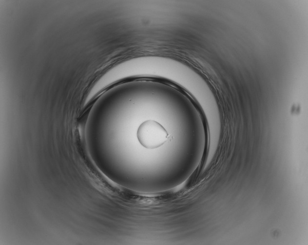 X0000097910409200803141423