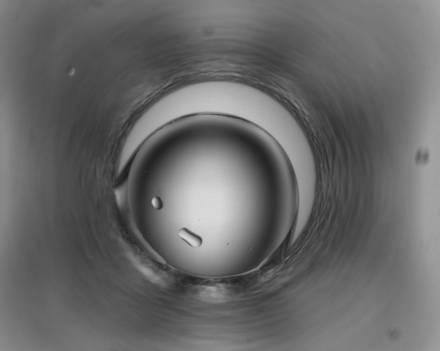 X0000097910411200803141423