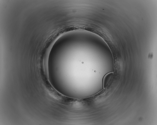 X0000097910412200803141423