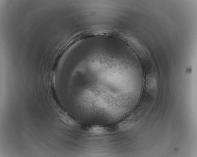 X0000097910413200803141423