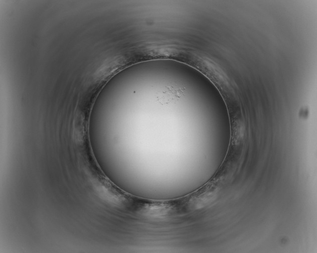 X0000097910414200803141423