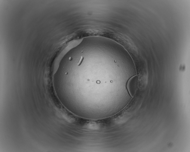 X0000097910416200803141423