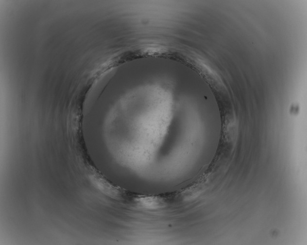 X0000097910417200803141423