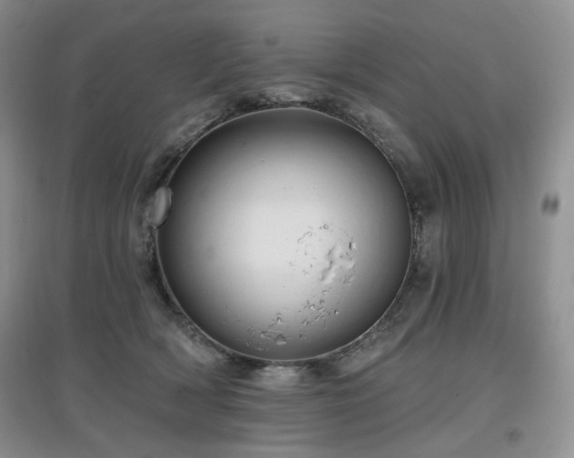 X0000097910418200803141423