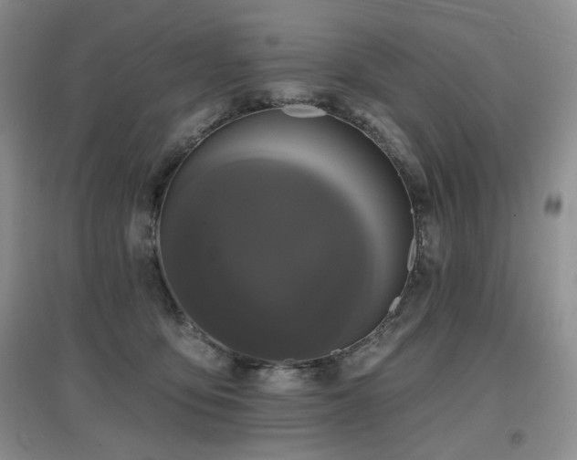 X0000097910419200803141423