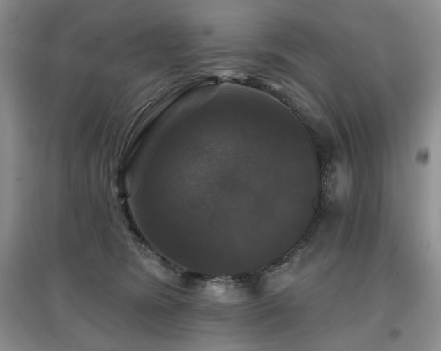 X0000097910420200803141423