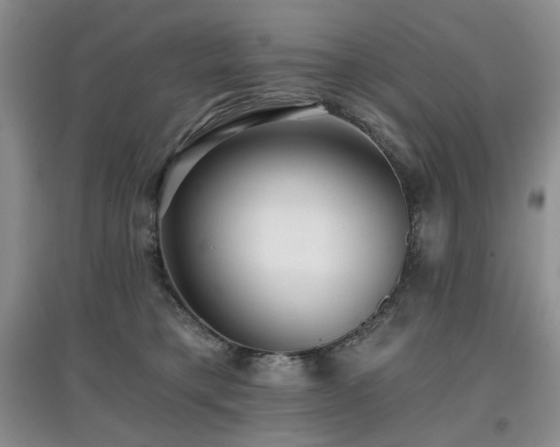 X0000097910421200803141423